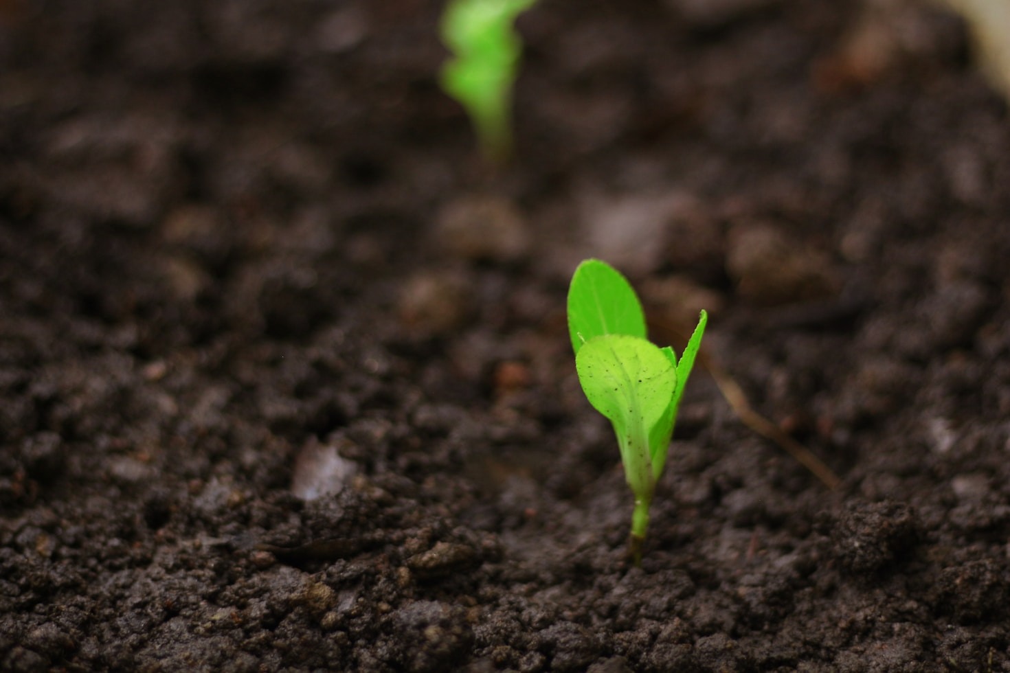 10 Healing Practices to Transform Your Life