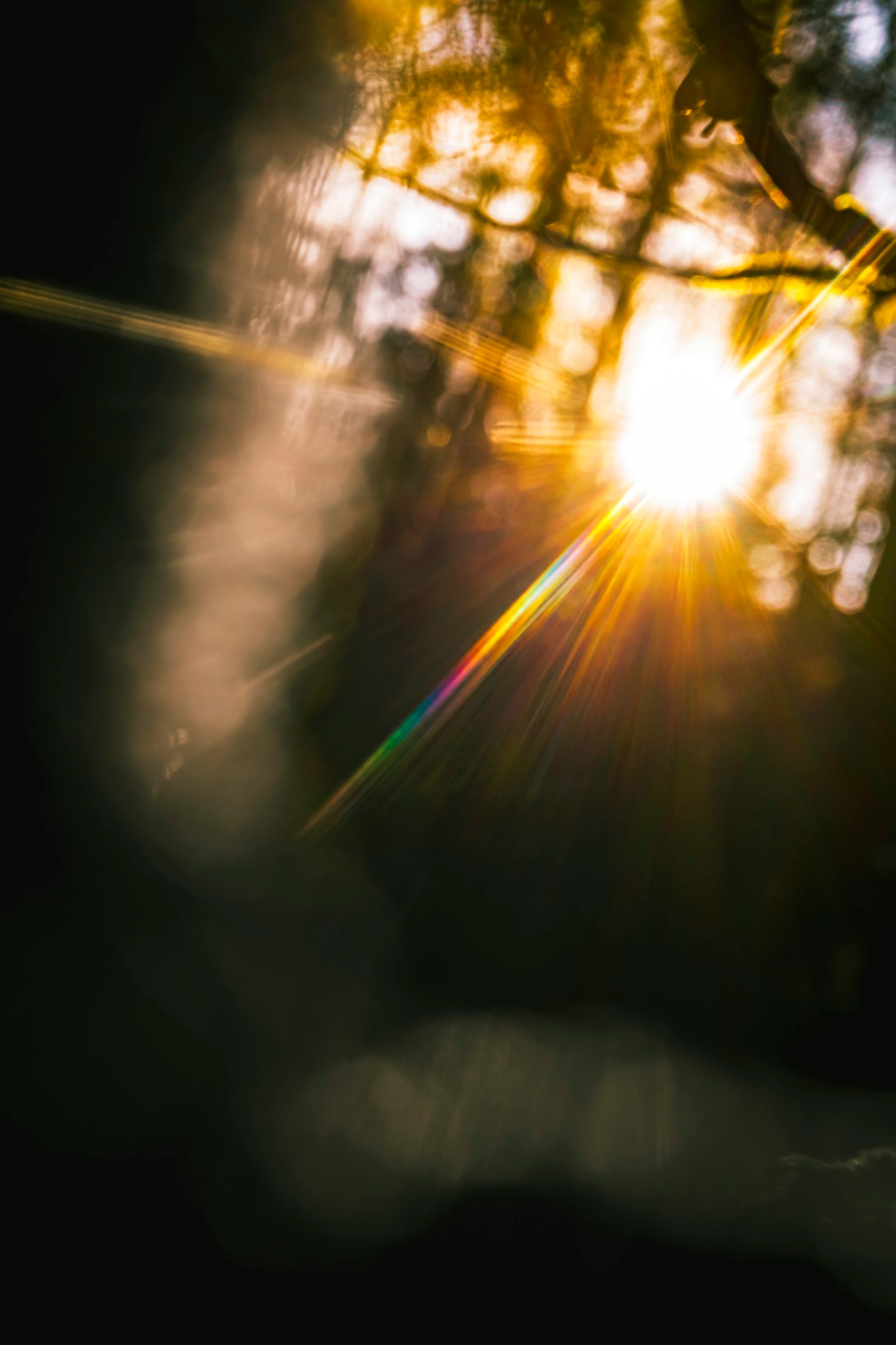 Personal Growth Stories That Inspire Change